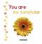 Fabian Bergmann: You are my sunshine