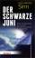 Hans-Werner Sinn: Der Schwarze Juni - Br