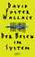 Foster Wallace, David: Der Besen im Syst