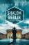 Michael Wallner: Shalom Berlin (Alain-Li