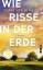 Wie Risse in der Erde – Roman | »Ein Buch, das man vielleicht nie in seinem Leben wieder vergisst.« Deutschlandfunk Kultur