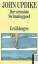 gebrauchtes Buch – John Updike – Der verwaiste Swimmingpool – Bild 1