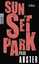 Paul Auster: Sunset Park