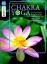 Chakra Yoga – Die Heilung der Energiezentren für Körper, Geist und Seele