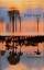 F Springer: Die Farbe des September F Springer: Die Farbe des September