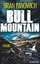 Brian Panowich: Bull Mountain: Roman (Bu