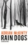 Adrian McKinty: Rain Dogs : Kriminalroma