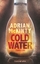 Adrian McKinty: Cold Water: Thriller (Se