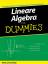 Sterling, Mary Jane: Lineare Algebra für