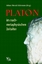 Gregor Schiemann: Platon im nachmetaphys