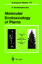 gebrauchtes Buch – Heinrich Sandermann – Molecular Ecotoxicology of Plants – Bild 1