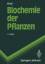 Biochemie der Pflanzen (Springer-Lehrbuc