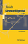 Klaus Janich: Lineare Algebra (Springer-