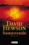 David Hewson: Sonnenwende. (Tb)