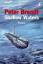 Peter Brendt: Shallow Waters Peter Brendt: Shallow Waters