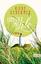 Rieke Schermer: Sommer mit Lilo Rieke Schermer: Sommer mit Lilo