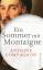 Antoine Compagnon: Ein Sommer mit Montai