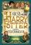 J.K. Rowling: Harry Potter und der Feuer