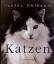 Isolde Ohlbaum: Katzen