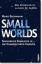 Mark Buchanan: Small Worlds: Das Univers