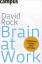 David Rock: Brain at Work: Intelligenter