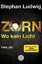 Stephan Ludwig: Zorn - Wo kein Licht : T