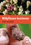 Johannes Vogel: Wildpflanzen bestimmen - Johannes Vogel: Wildpflanzen bestimmen -