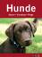 Barbara Willms: Hunde