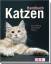 Antje Breuer: Handbuch Katzen