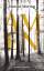 gebrauchtes Buch – Marcel Möring – AMEN : Roman – Bild 1