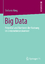 Stefanie King: Big Data - Potential und 