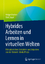 Fischer, Holger; Engel, Dirk: Hybrides A