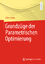 Oliver Stein: Grundzüge der Parametrisch