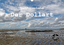 neues Buch – Rolf Poetsch – Ostfriesland - Der Dollart (Wandkalender 2021 DIN A3 quer) – Bild 1