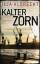 Ilja Albrecht: Kalter Zorn: Thriller