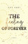 Yvy Kazi: The Feeling Of Forever: Roman 