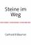 Gerhard Baumer: Steine im Weg