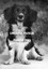Friedrich Weltz: UNSERE HUNDE