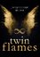 Jacqueline Meier: Twin Flames