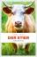 Thomas Hesse: Der Stier