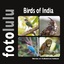 Sr fotolulu: Birds of India - Kerala im 