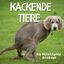 Tim Fröhlich: Kackende Tiere | Ein befre