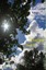 Knop, Ralf Lothar: Evelyn