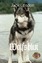 Jack London: Wolfsblut : Illustrierte Au Jack London: Wolfsblut : Illustrierte Au