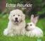 times&more Echte Freunde Bildkalender 20