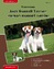 Dirk Schäfer: Traumrasse Jack Russell Te