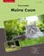 Melanie Leibing: Traumrasse Maine Coon