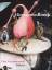 Hieronymus Bosch : Das Gesamtwerk Hieronymus Bosch : Das Gesamtwerk