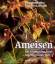 Ameisen – Die Entdeckung einer faszinierenden Welt