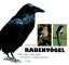 Wolfgang Epple: Rabenvögel. Göttervögel 